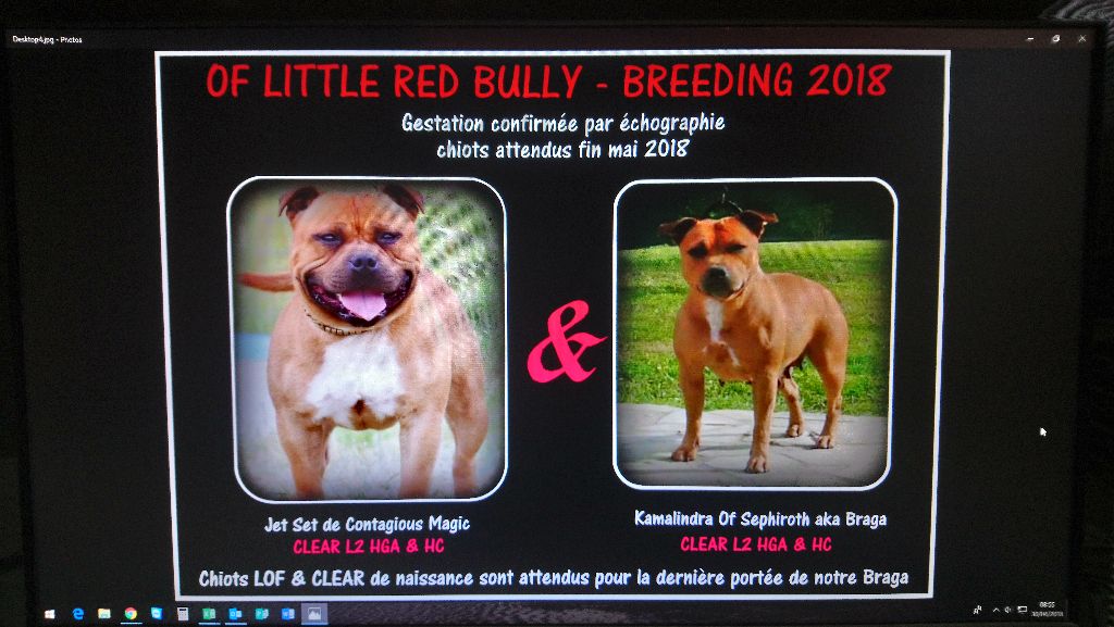 Portée BRAGA & JET 2018
