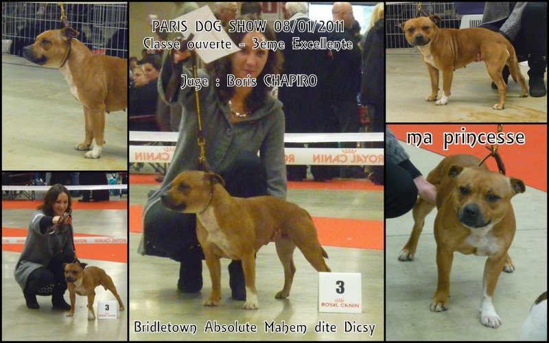 Dicsy et Koumal