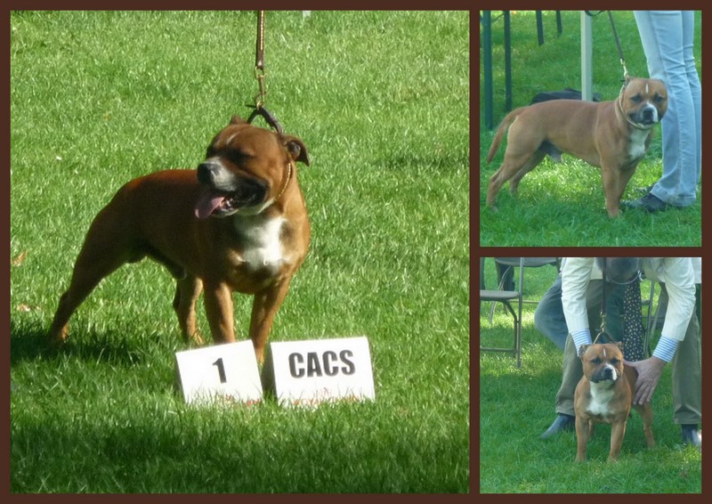 CACS L'Isle Adam - Koumal